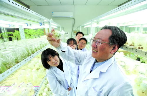 三聚焦賦能區域全面振興 農業科研與試驗發展的關鍵路徑