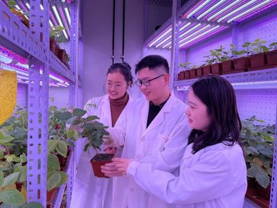 河南大學 聚焦農業科技創新，打造現代農業發展新高地